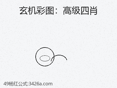 避免高級四肖時的15個高效做法缩略图